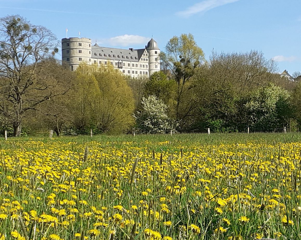 2023-04-30_Kornelia Lecour_3